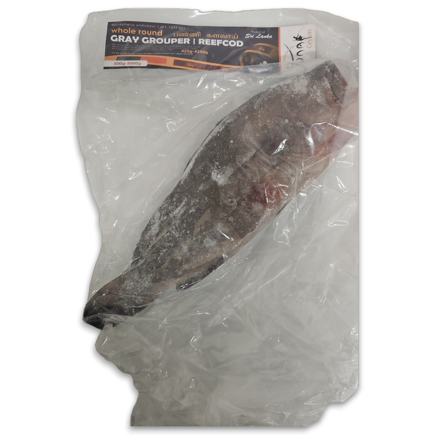 Reefcod / Tsof / Gray Grouper 0.5 - 5 Kg 10 kg IQF/IWP-LK