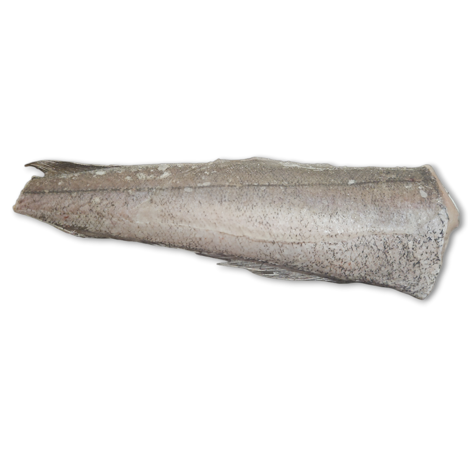 Hake HGT 200-350g IWP 1 x 22.5kg -MR