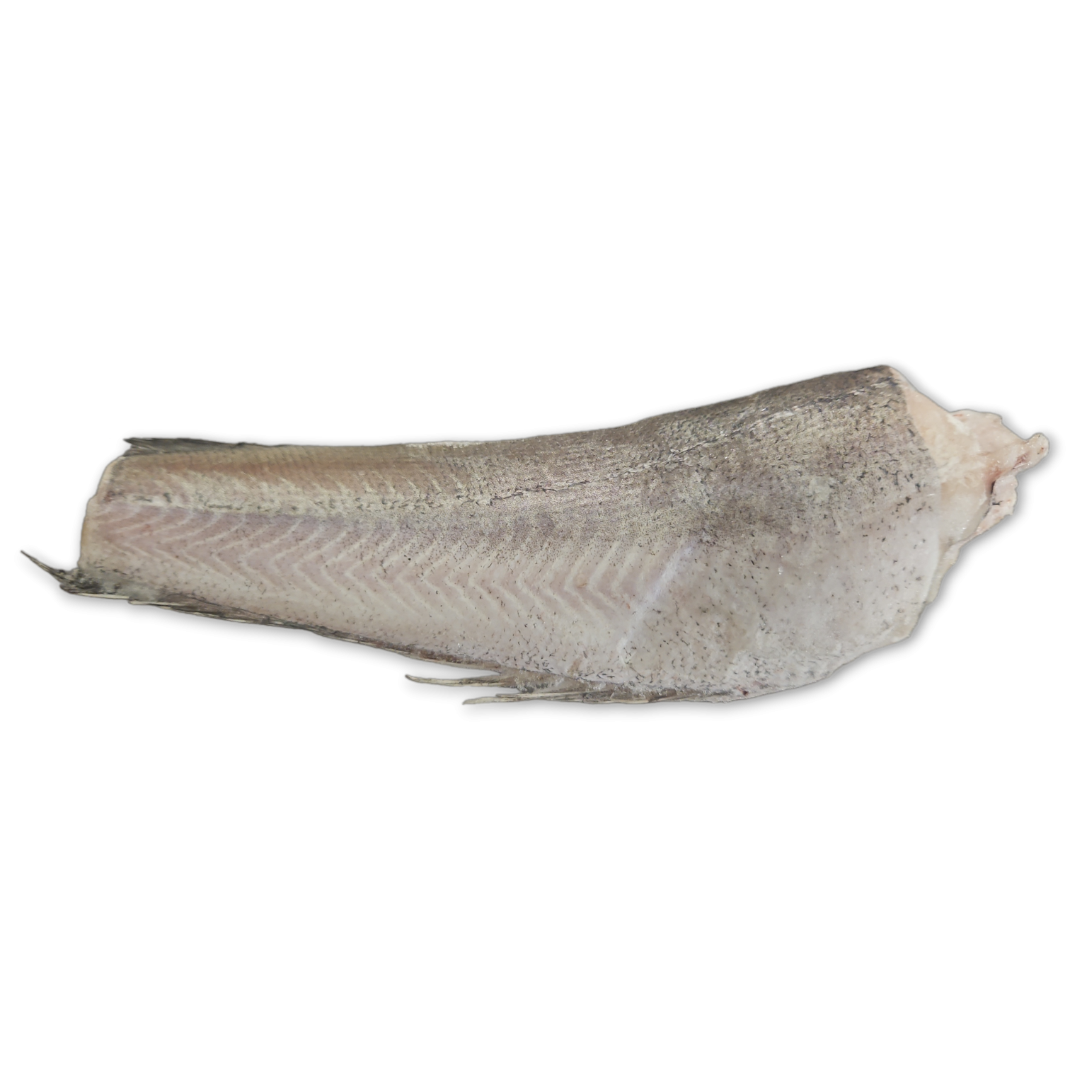 Hake HGT -250g IWP 1 x 20kg -MR