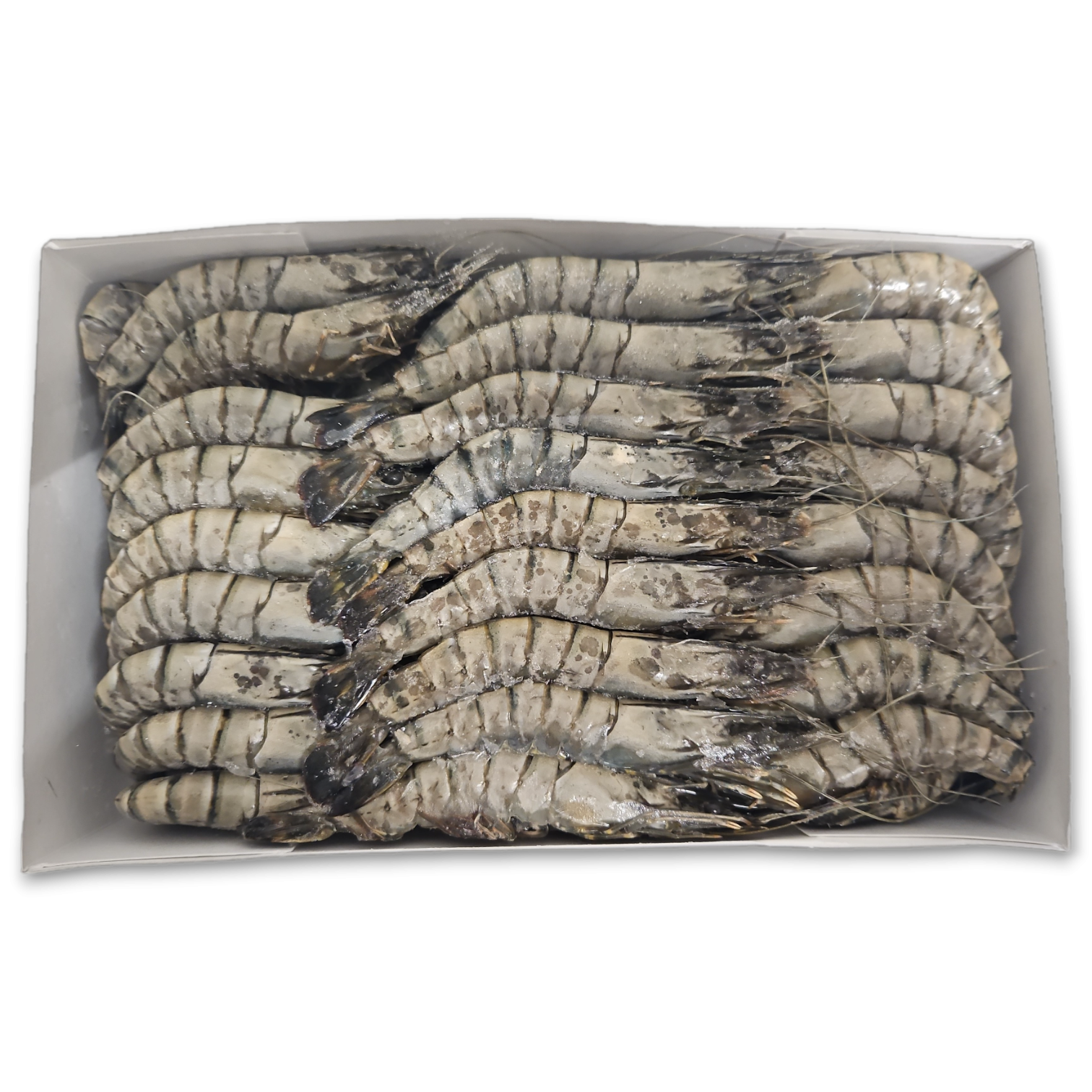 Black Tiger HOSO 40/50 9 x 2kg 100% NW -MZ