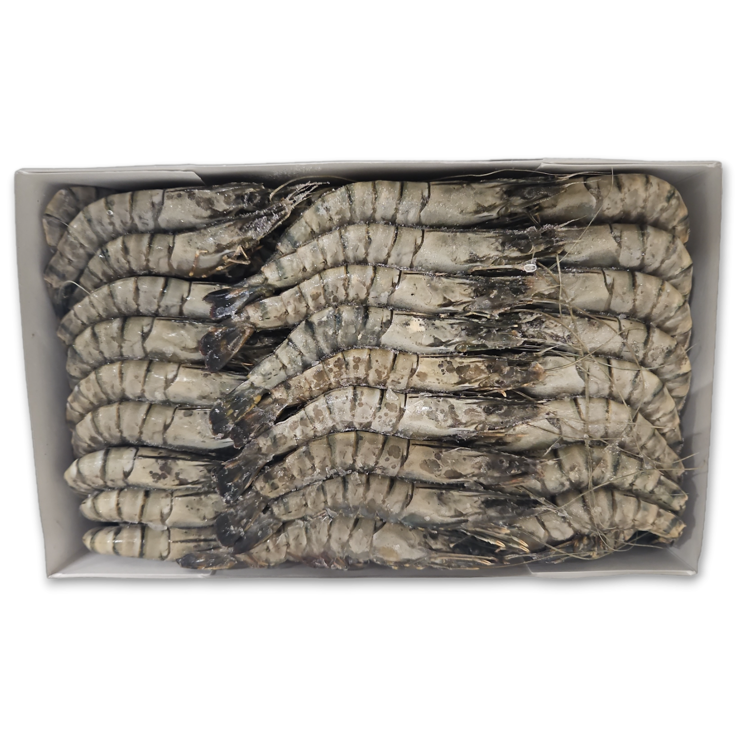 Black Tiger HOSO 40/50 9 x 2kg 100% NW -MZ