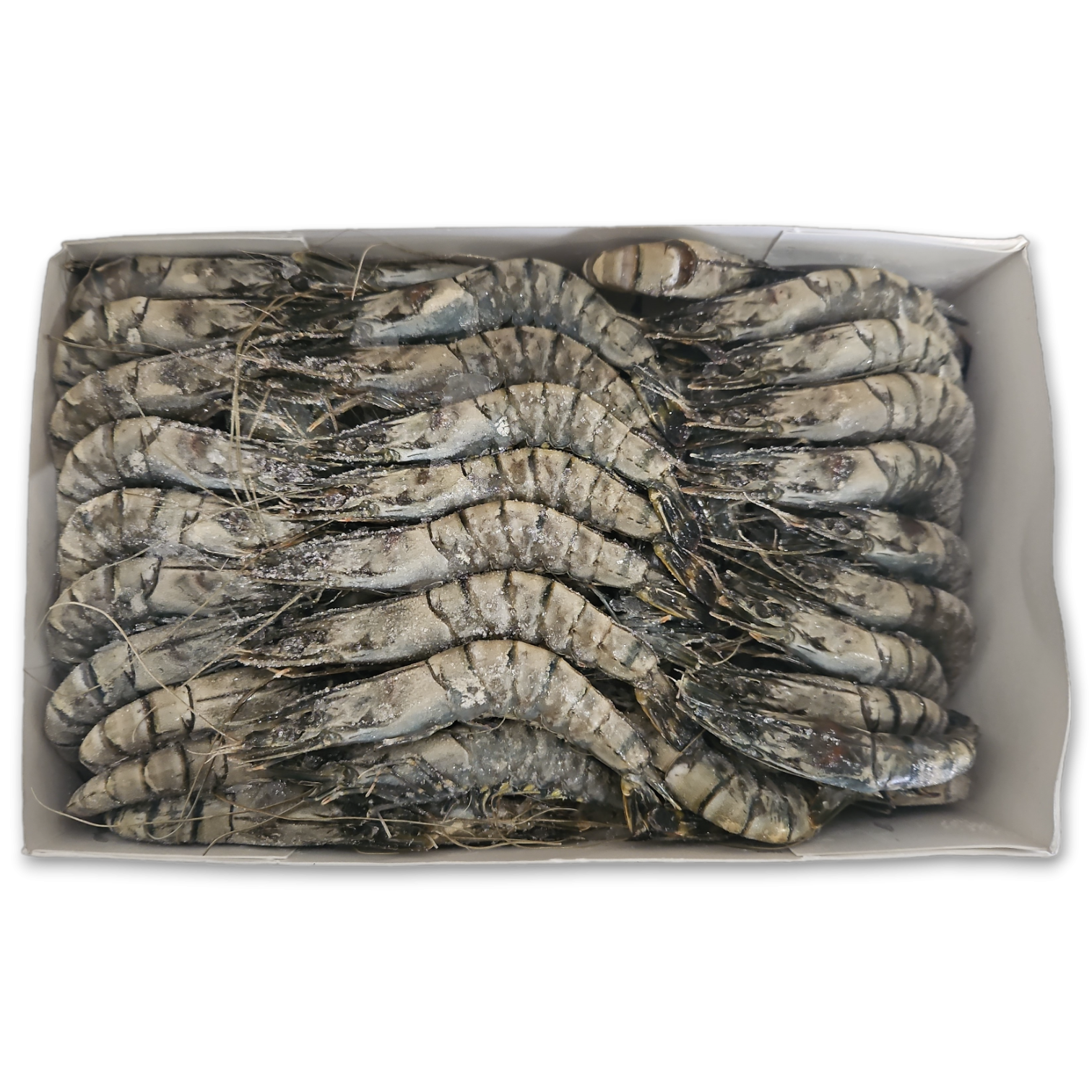 Black Tiger HOSO 50/60 9 x 2kg 100% NW -MZ