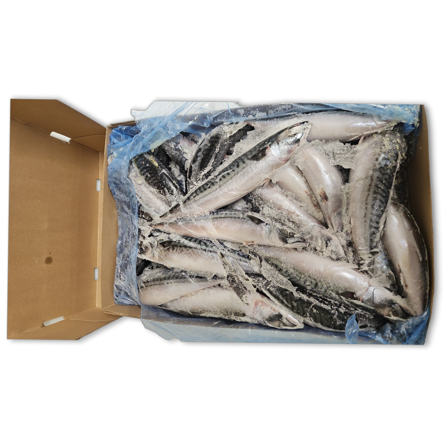 Mackerels Lofoten Viking WR 400-600gr 20 Kilo Block-NO