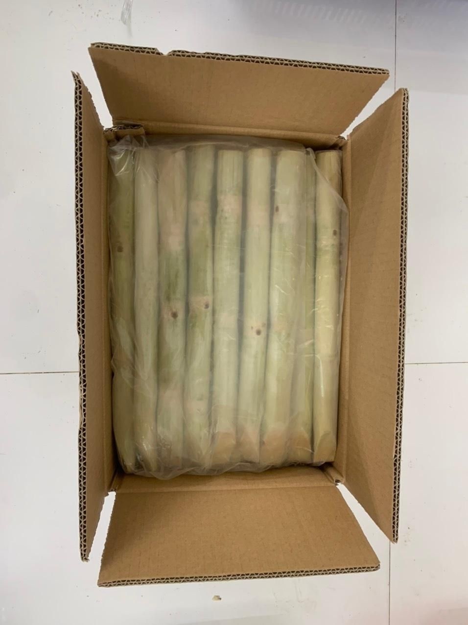 Frozen Sugar Cane Cutted & Cleaned Hoa Binh ~40 cm 10 kg-VN