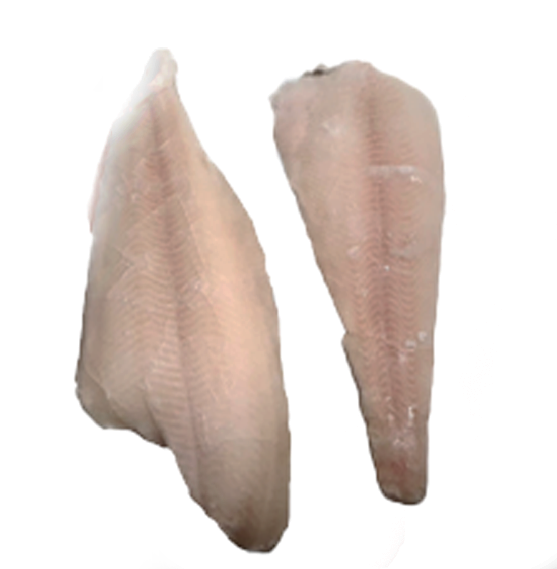 Halibut filet skinless 150-200 grs 10 kg 20 %-NO