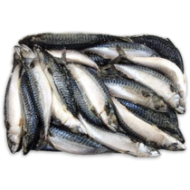 Pelagos Mackerel WR 300-500gr Block 2 x 12,5kg -FO