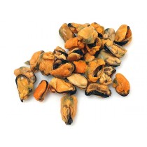 Mussel meat cooked 100/200 10 x 1 kg -CL