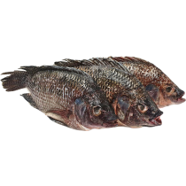 JONA Tilapia G&S 500-800 gr 4 kg 20%-CN
