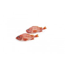 Redfish/S.Mentella A Grade Mix 30-35pc WR ~20,5 Kg-NO
