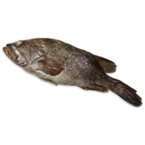 Utimate Taste Argentinian Grouper WR 1kg-UP 1 x 10kg 10% -AR