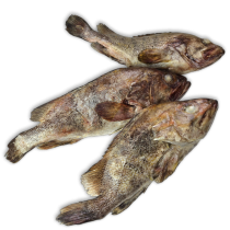 HBF Argentinian Grouper WR 400-1000g 1 x 10kg 10% -AR