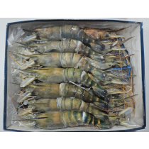 Jona Fresh Water shrimps HOSO 13/15 10 x 1 kg 20%-BD