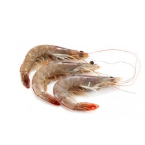 Vannamei shrimps HOSO 30/40 12 x 1 kg 25% -ECUADOR