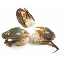 MEDIUM Cut mangrove Crab (8-12 pc/kg) 12 x 1 kilo-MZ