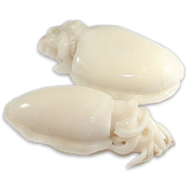 Cuttlefish / Sepia Whole Clean 1/2 pcs/kg 1 x 10 kg IQF -IN
