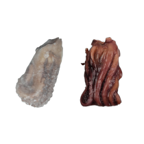 Giant Squid Tentacles 500-1000g IQF 1 x 10kg 20% -PT