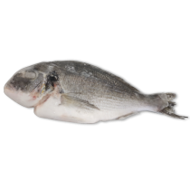 Jona Dorade Royal WGS 300-400g IQF 1 x 5kg 25%-TR
