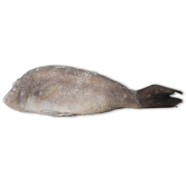 Jona Emperor WGS 2000g-UP IWP 1 x 10kg 10% -IN