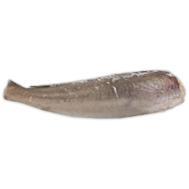 Hake HGT 300-450g IWP 1 x 23kg -MR