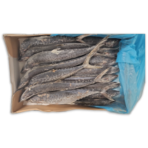 Ocean Delight Kingfish WG 375-900g IQF 1 x 10kg -SR