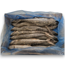 Kingfish WG 450-900g IQF 1 x 10kg -SR