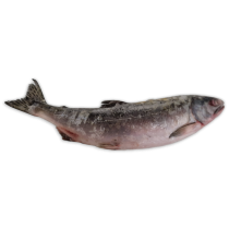 Pink Salmon WR O/R IQF 1 x 25kg -CA