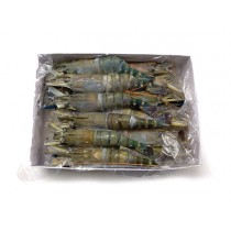Fresh Water shrimps HOSO 8/12 10 x 1 kg 30%-BD
