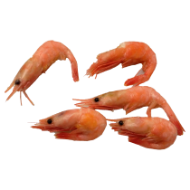 Pandalus WR/red cooked shrimps 90/120 5 Kg IQF-GL