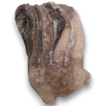 Giant Squid Tentacles 1-2kg IQF 1 x 10kg 20% -PT