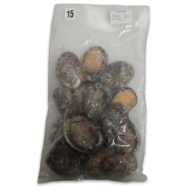 Red Abalone Raw With Shell and guts IQF 10x1kg 15p 100%NW-CL