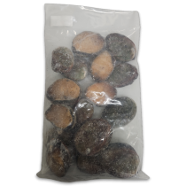 Red Abalone Raw With Shell and guts IQF 10x1kg 16p 100%NW-CL
