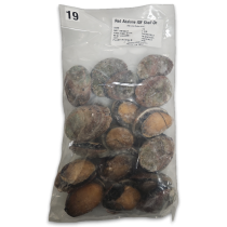 Red Abalone Raw With Shell and guts IQF 10x1kg 18p 100%NW-CL
