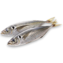 Horse Mackerel WR 350g-UP Block 1 x 20kg -IR