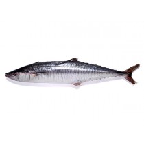 JONA Kingfish WR IWP 1000-5000gr 20 kg 100% NW-ID