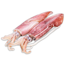 Squid Whole Loligo Duvauceli 6-10 6 x 2 kg 10%-IN