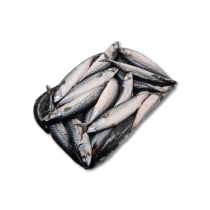 Pelagos Mackerel WR 400-600gr Block 2 x 12,5kg -FO
