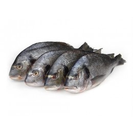 Dorade grise / Seabream WR 200-300 gr 5 kg IQF 10%-NL Dorade grise / Seabream WR 200-300 gr 5 kg IQF 10%-NL