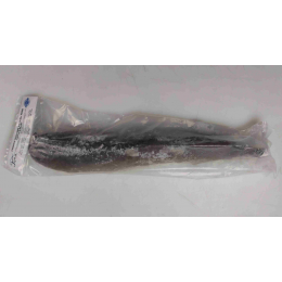 Catfish gutted 300-500 gr 4 kg IQF 20 %-VN Catfish gutted 300-500 gr 4 kg IQF 20 %-VN