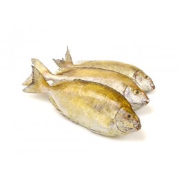 Jona Rabbit Fish (Otti) WR IQF 100 gr+ 10 x 1 Kg.-IN Jona Rabbit Fish (Otti) WR IQF 100 gr+ 10 x 1 Kg.-IN
