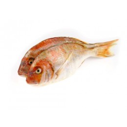 Snapper/Besugo WR 800-1200 gr 1 x 10 kg semi IQF-AR Snapper/Besugo WR 800-1200 gr 1 x 10 kg semi IQF-AR
