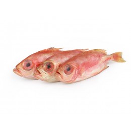 Red Atlantic Bigeye/Bullseye Whole 100-200g 10x 1 kg-IN Red Atlantic Bigeye/Bullseye Whole 100-200g 10x 1 kg-IN