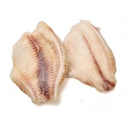 Tilapiafillets skin&boneless 140-200g 10x1kg IQF 20%-CN Tilapiafillets skin&boneless 140-200g 10x1kg IQF 20%-CN