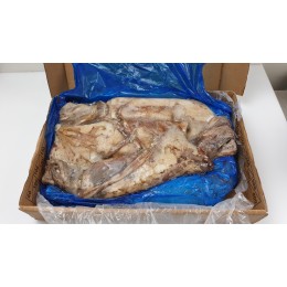 Humboldt Squid Whole Round (Dos.Gigas) 1000+ 10 kg-EC Humboldt Squid Whole Round (Dos.Gigas) 1000+ 10 kg-EC