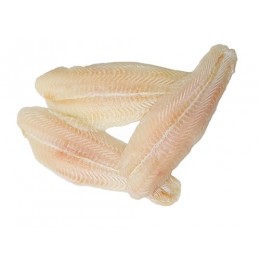 JONA Pangasius fillets skinless 170-230 gr 80% NW 10x1 kg-VN JONA Pangasius fillets skinless 170-230 gr 80% NW 10x1 kg-VN