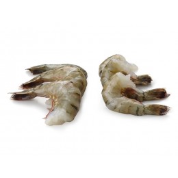 Black Tiger HLSO easy peel 16/20 10 x 1 kg 25%-BD Black Tiger HLSO easy peel 16/20 10 x 1 kg 25%-BD