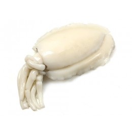 Cuttlefish/Sepia Whole Clean 1000-2000 gr 1 x 10 kg IQF -IN Cuttlefish/Sepia Whole Clean 1000-2000 gr 1 x 10 kg IQF -IN