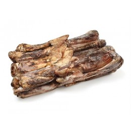 Baby Giant Squid Whole Round (Dos. Gigas) 500-700 10 kg-EC Baby Giant Squid Whole Round (Dos. Gigas) 500-700 10 kg-EC