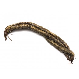 Long Bobolo/cassave sticks/Batons de Manioc 25x1 kg (3pc)-CM Long Bobolo/cassave sticks/Batons de Manioc 25x1 kg (3pc)-CM