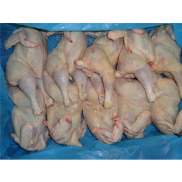 Whole Chicken Grillers A grade Halal 12 x 900 gr -BE Whole Chicken Grillers A grade Halal 12 x 900 gr -BE