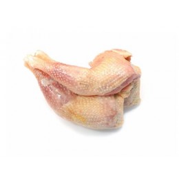 Kokolo Henlegs Halal A grade (Strong Chicken) 10 kg-NL Kokolo Henlegs Halal A grade (Strong Chicken) 10 kg-NL